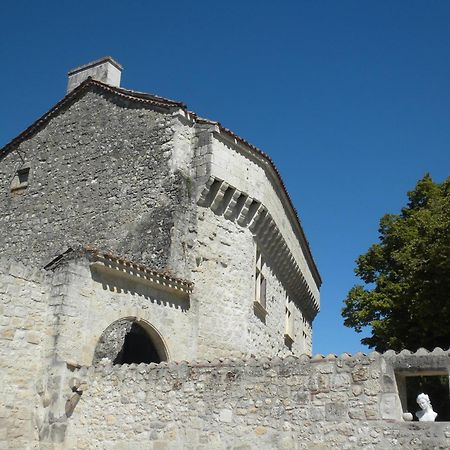 Chateau De Pleneselve Bon-Encontre Bagian luar foto