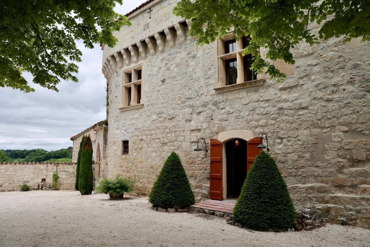 Chateau De Pleneselve Bon-Encontre Bagian luar foto
