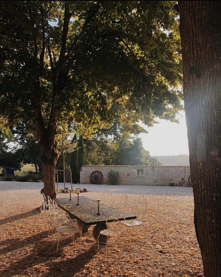 Chateau De Pleneselve Bon-Encontre Bagian luar foto