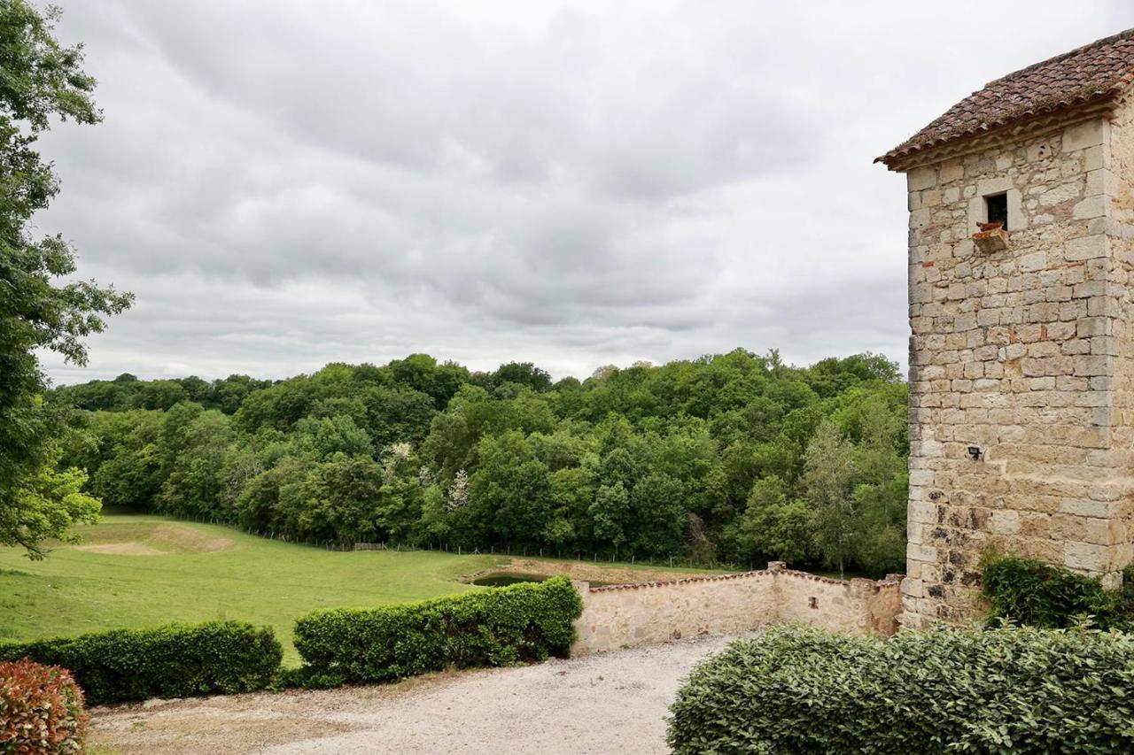 Chateau De Pleneselve Bon-Encontre Bagian luar foto