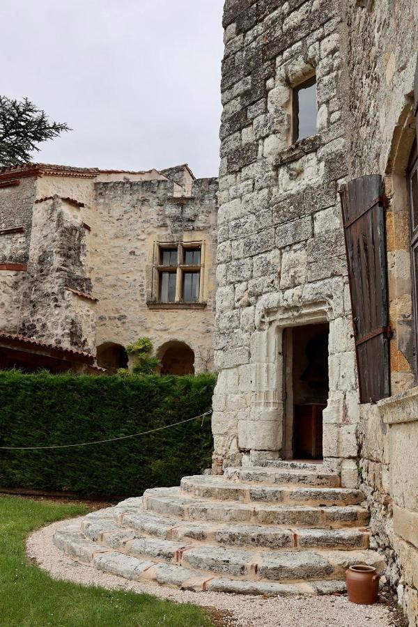 Chateau De Pleneselve Bon-Encontre Bagian luar foto