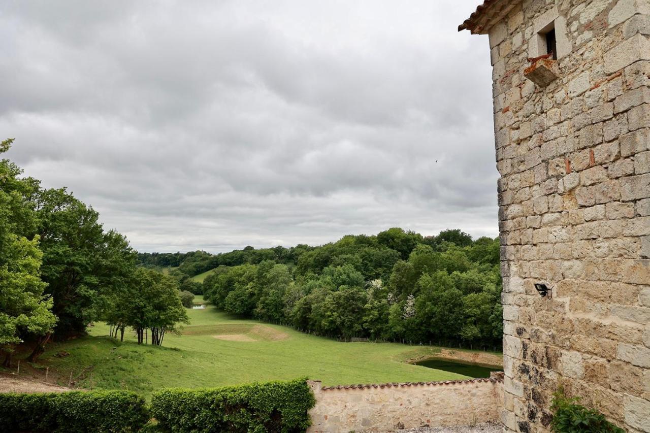 Chateau De Pleneselve Bon-Encontre Bagian luar foto