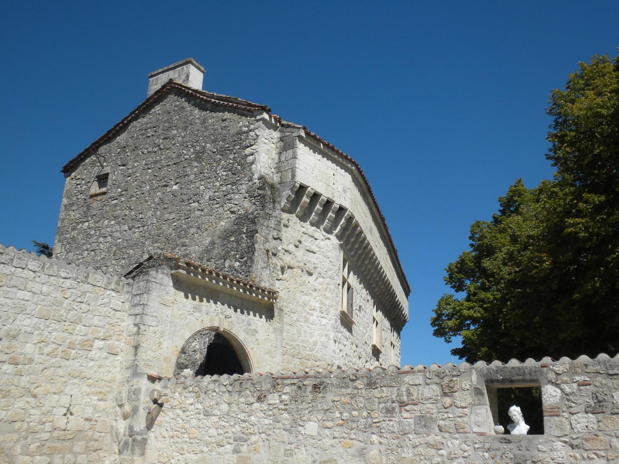 Chateau De Pleneselve Bon-Encontre Bagian luar foto