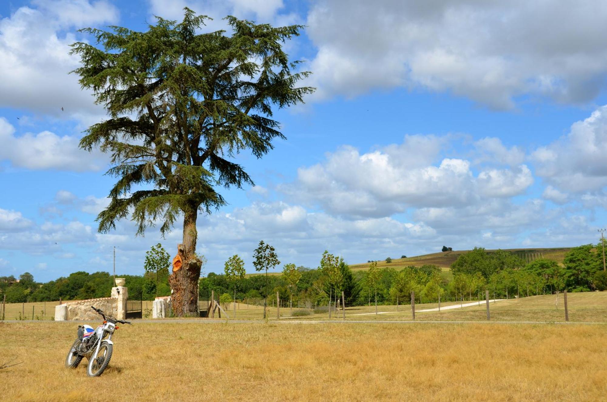 Chateau De Pleneselve Bon-Encontre Bagian luar foto