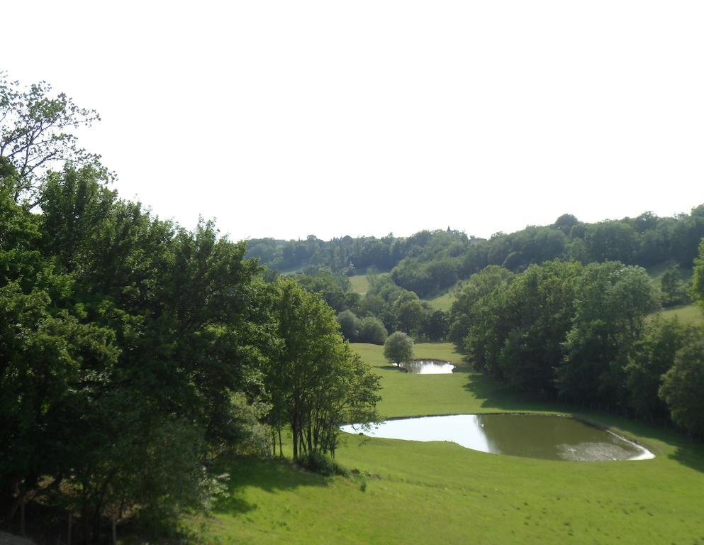 Chateau De Pleneselve Bon-Encontre Ruang foto